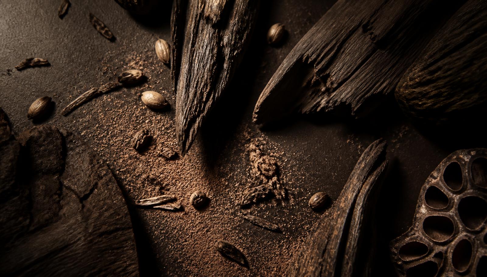 Botanical materials arranged on a dark surface