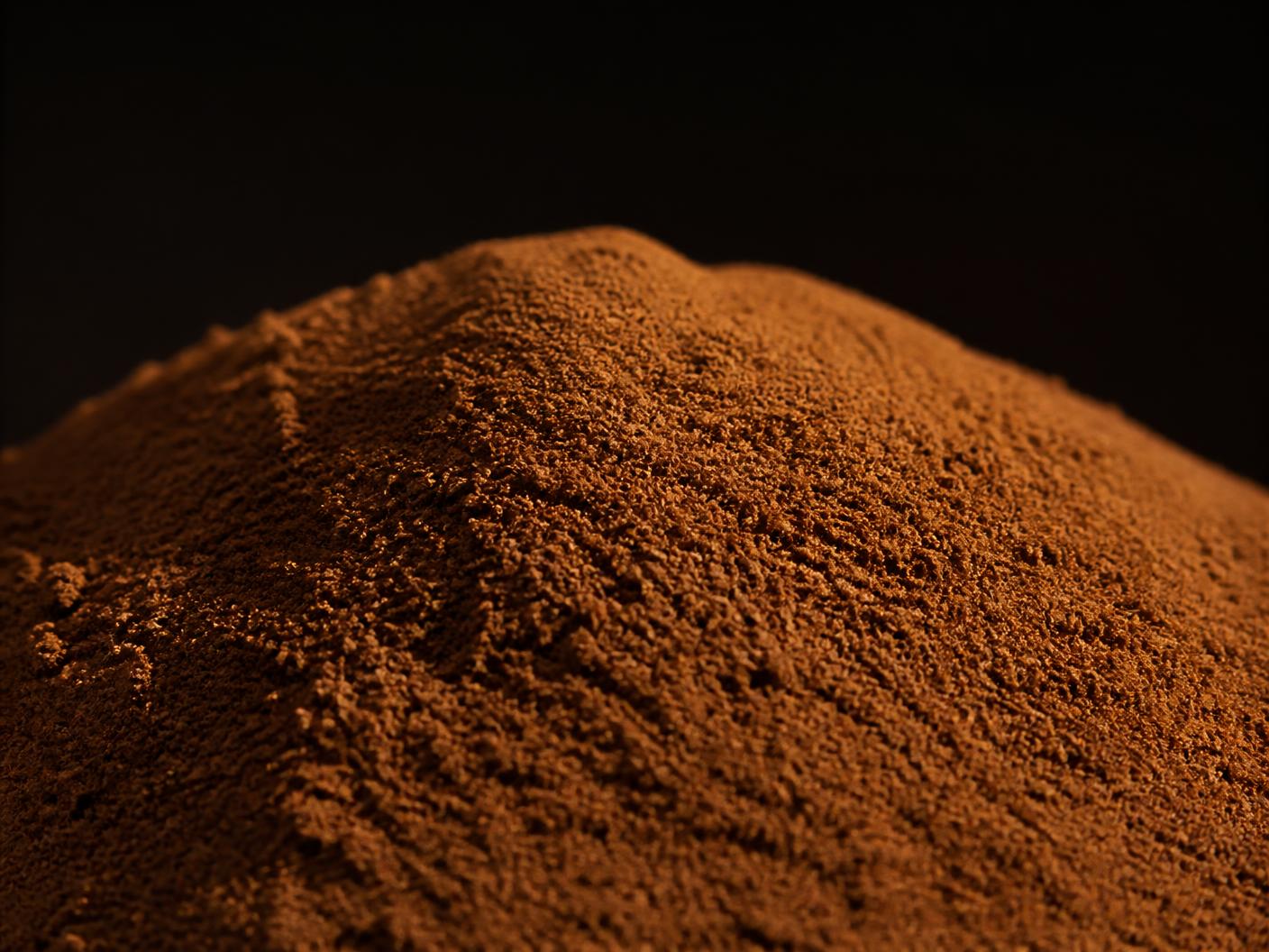 Premium Cinnamon Powder ingredient photograph